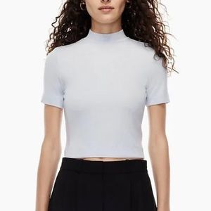 Aritzia Babaton Gonzalo t-shirt